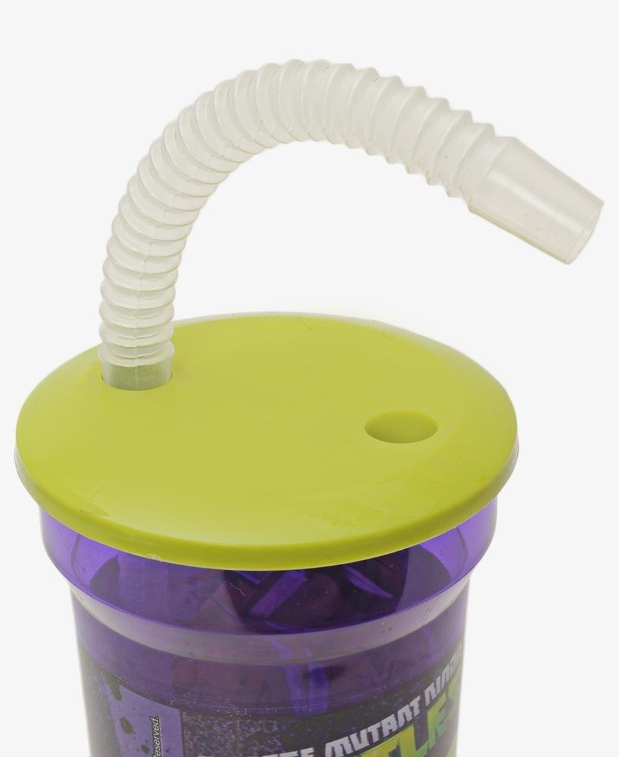 Tmnt Fighters Bottle - Purple