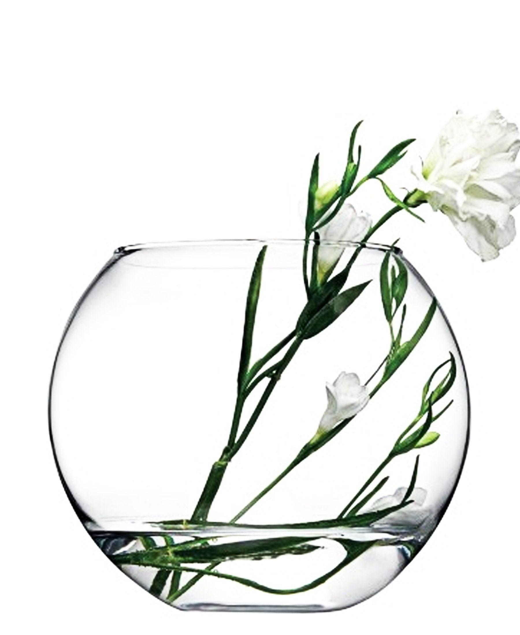 Pasabahce Botanica Bubble Vase - Clear