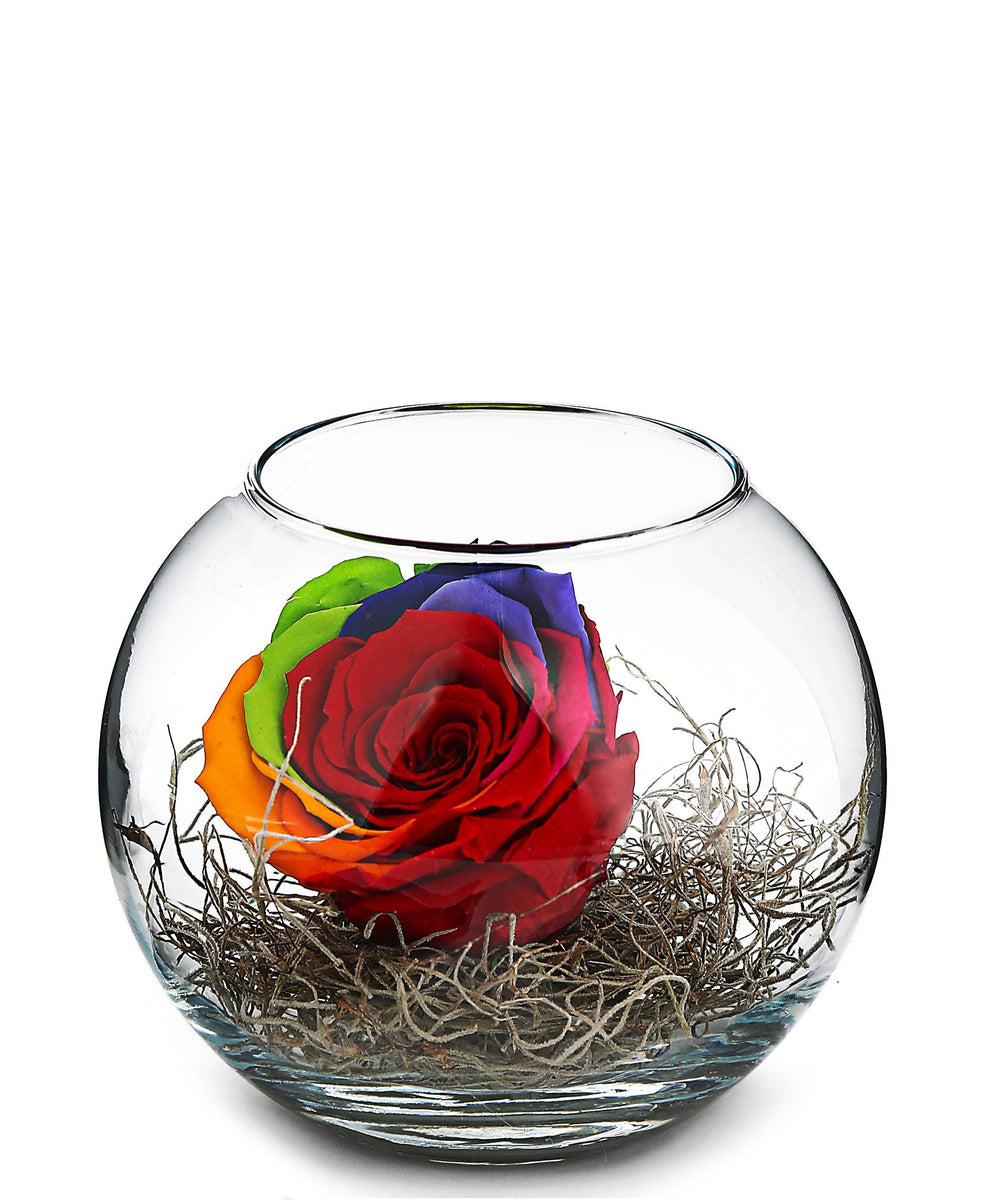 Pasabahce Botanica Bubble Vase 12CM - Clear