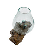 Fish Bowl Teak - 15CM