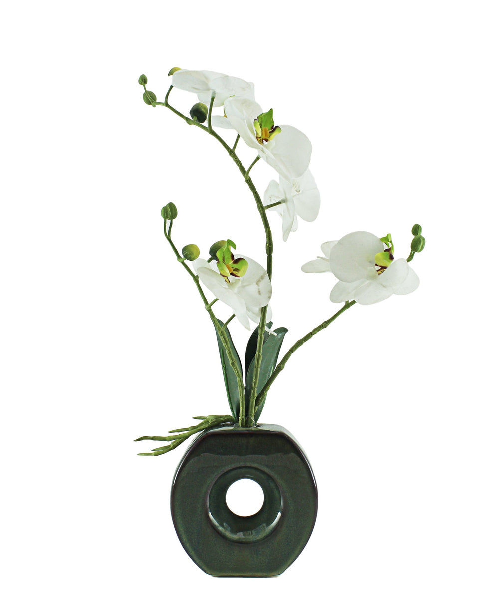 Eetrite Phal Pot Plant 43CM - White