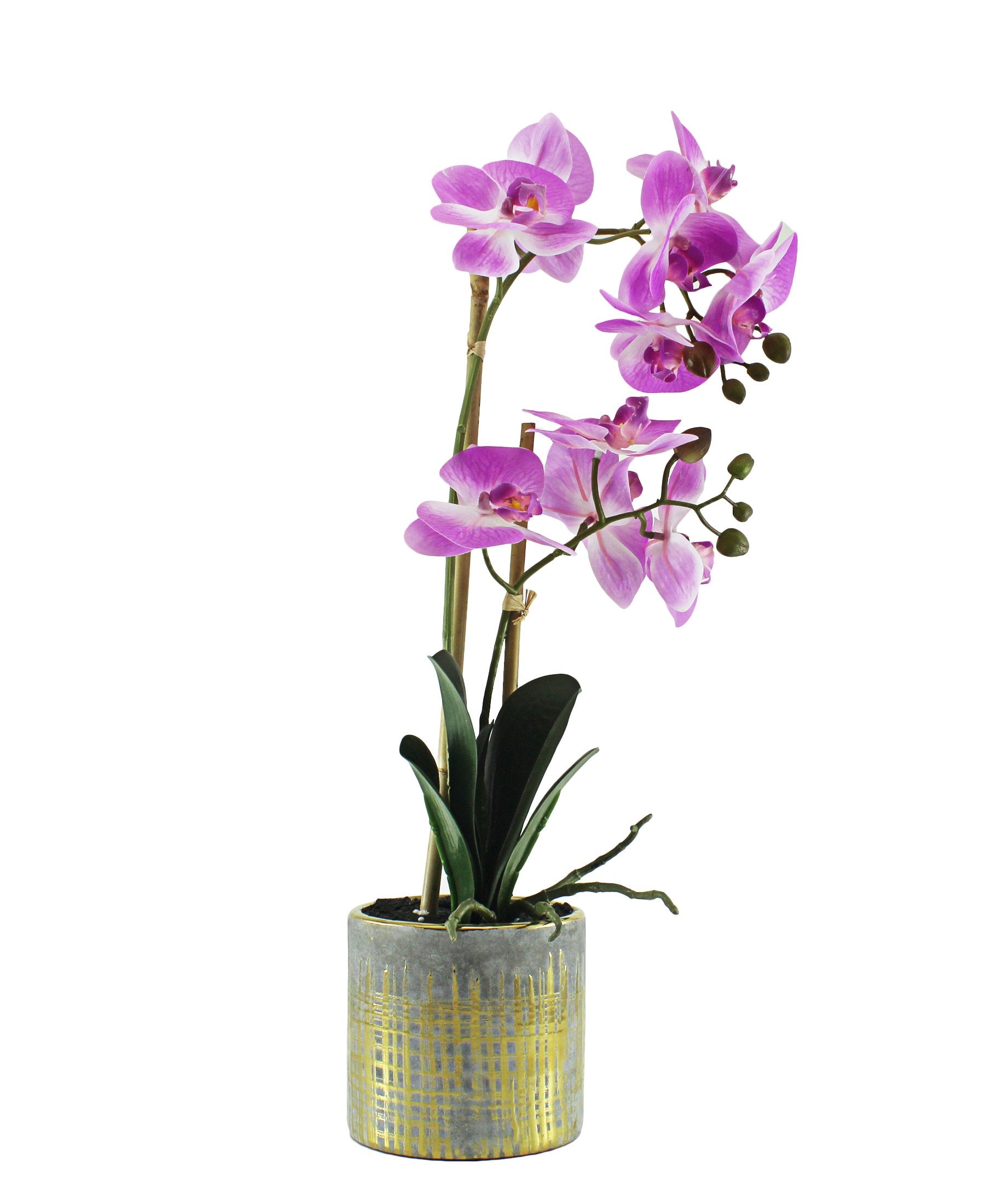 Orchid In Pot Plant 50CM - Pink