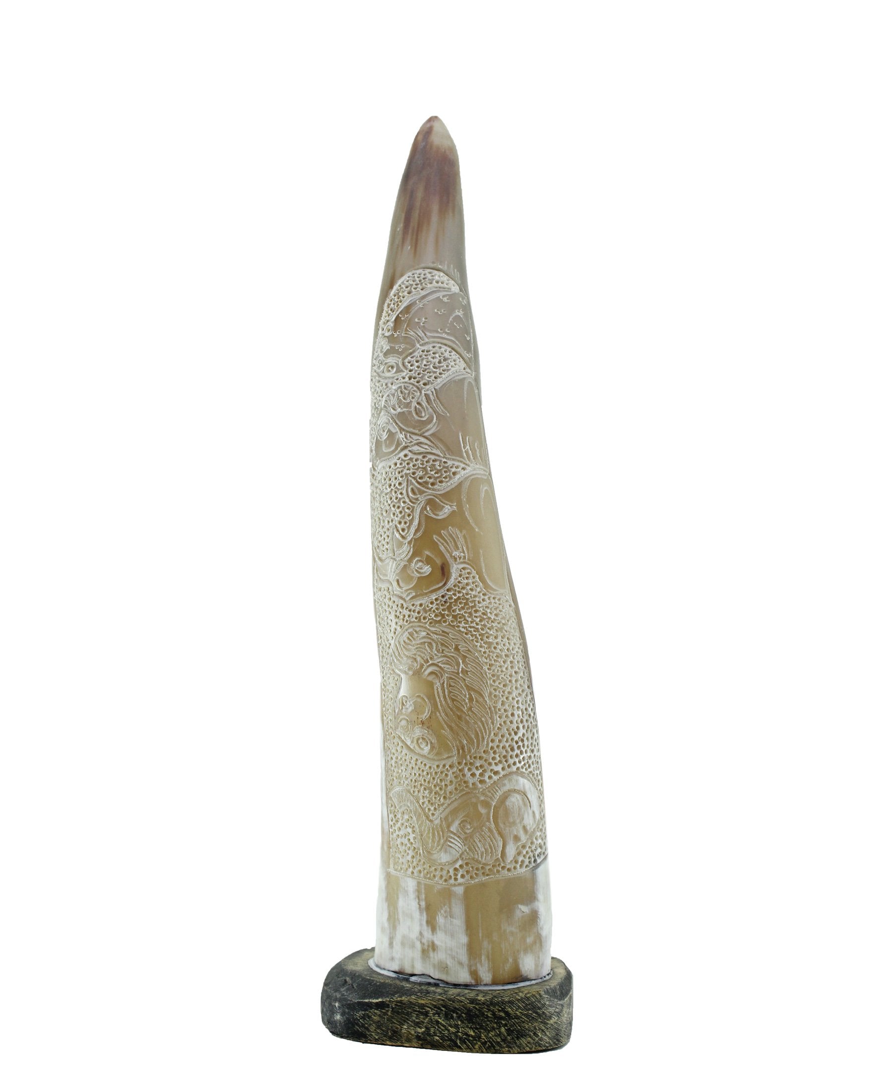 Aesthetic Horn - Cream