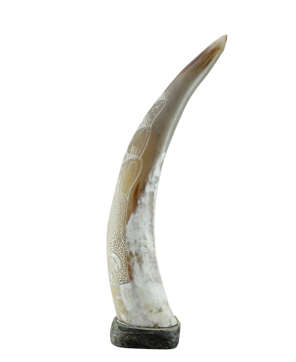 Aesthetic Horn - Cream