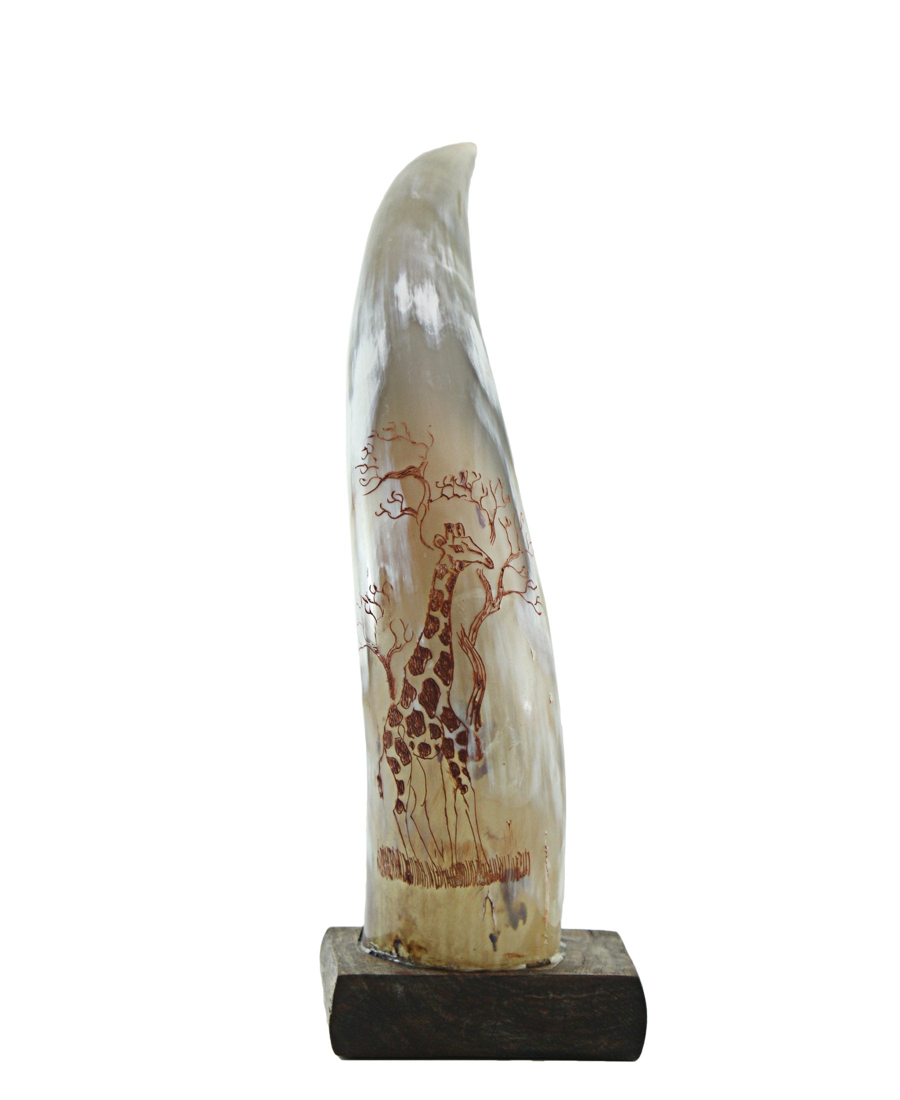 Aesthetic Horn - Cream