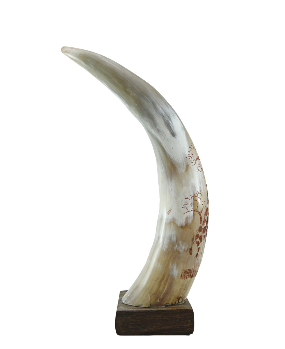 Aesthetic Horn - Cream