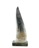 Aesthetic Horn - Black