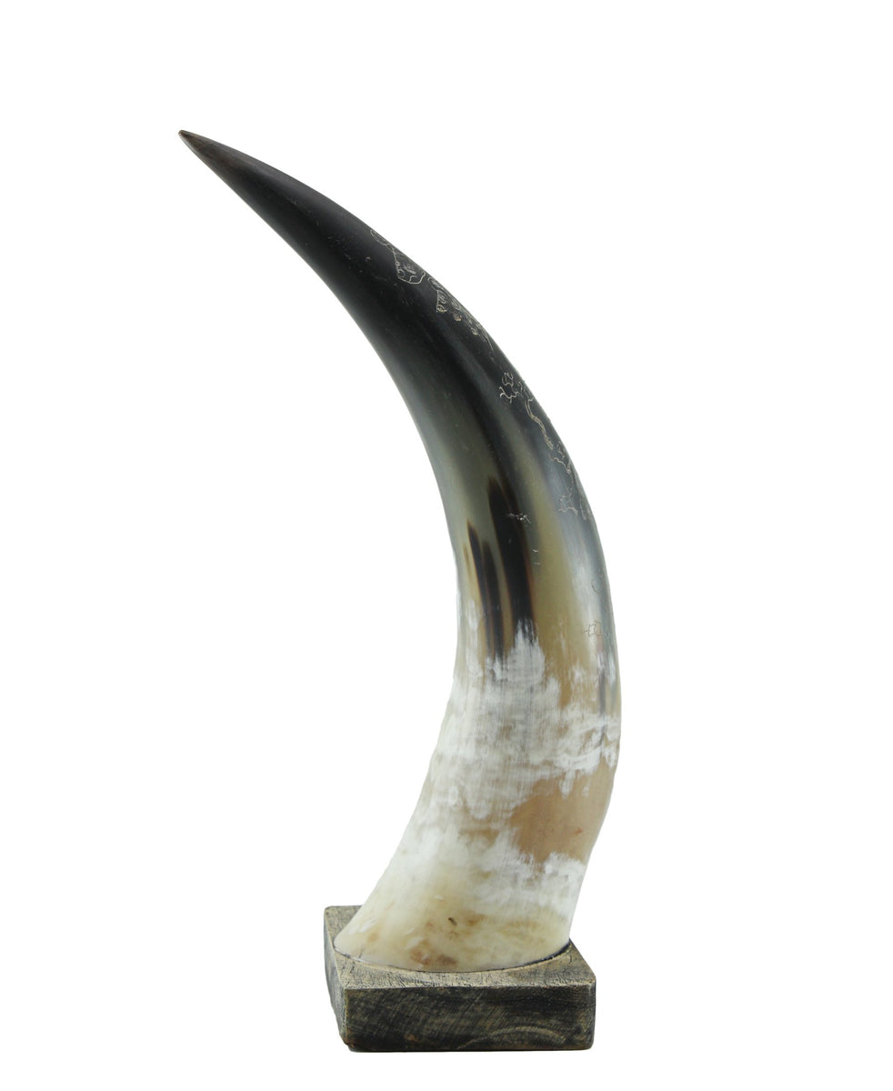 Aesthetic Horn - Black