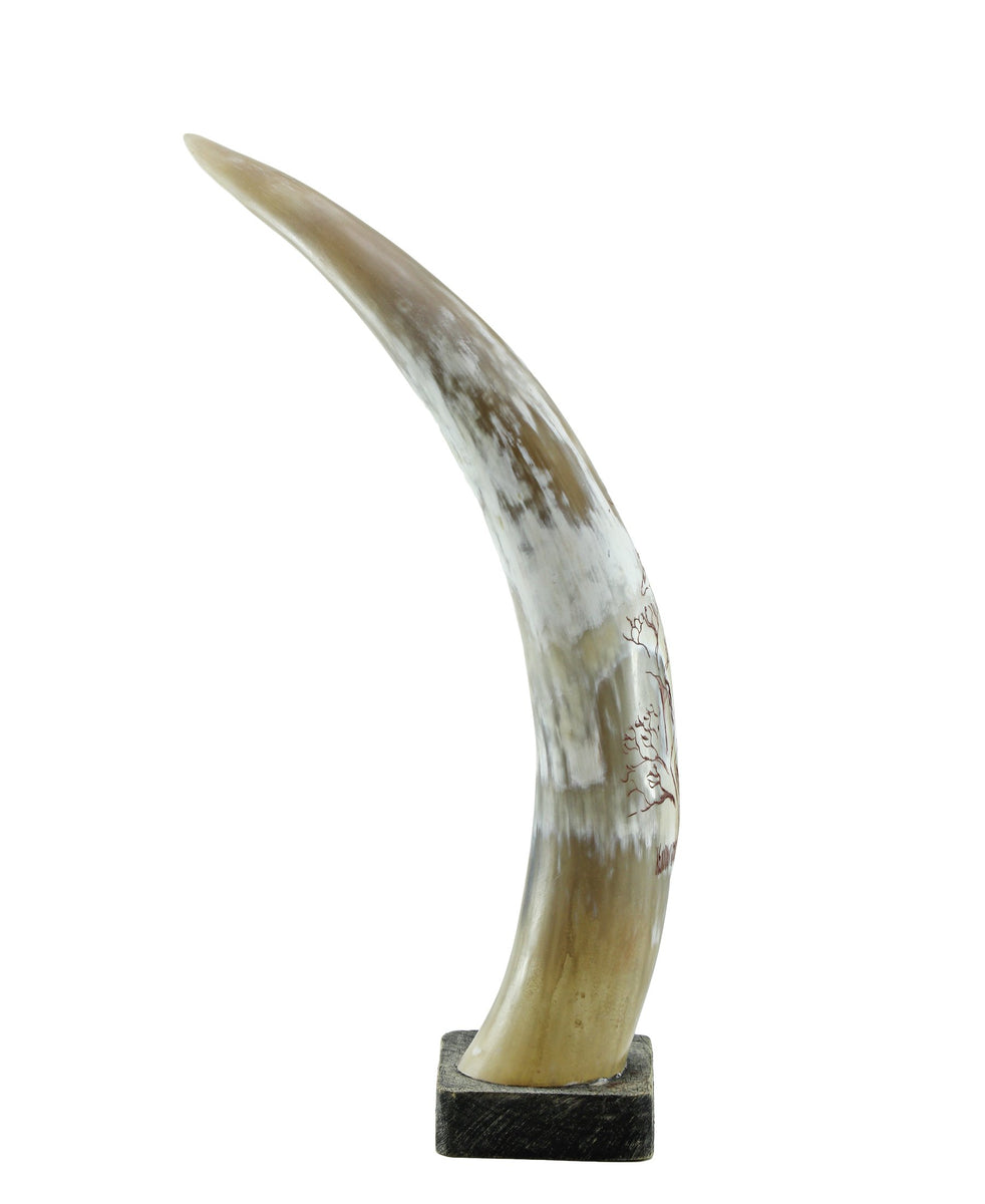 Aesthetic Horn - Cream