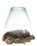 Fish Bowl Teak - 15CM