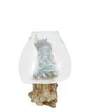 Fish Bowl Teak - 30CM