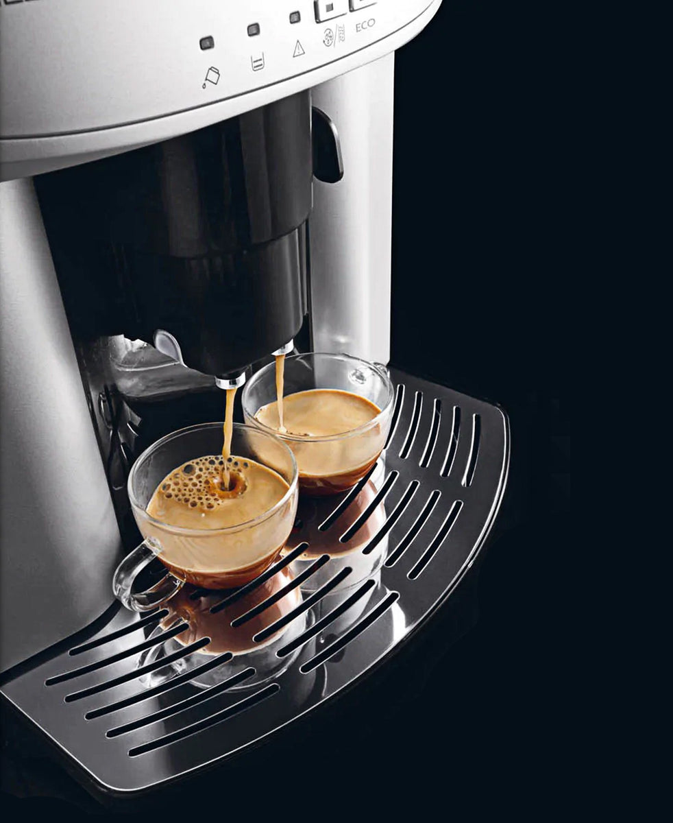 DeLonghi Caffe Venezia Coffee Machine - Silver