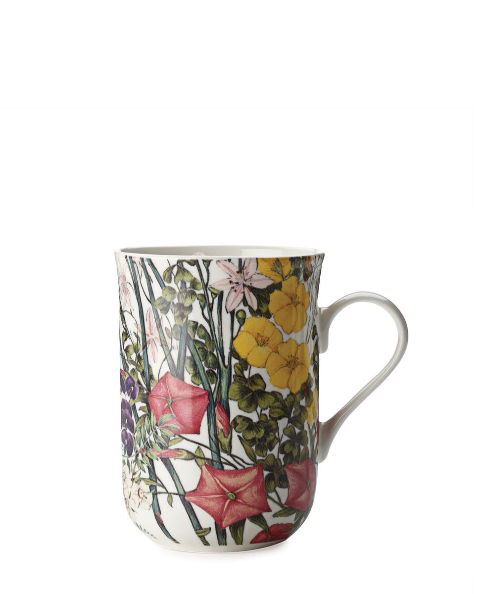 Maxwell & Williams Euphemia Henderson Buttercup - Yellow